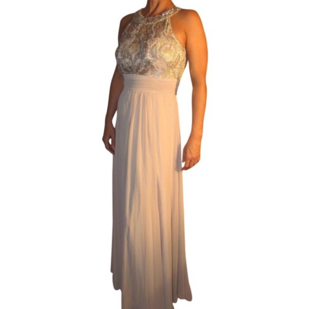 Eliza J Metallic Lace Bodice Chiffon Blush